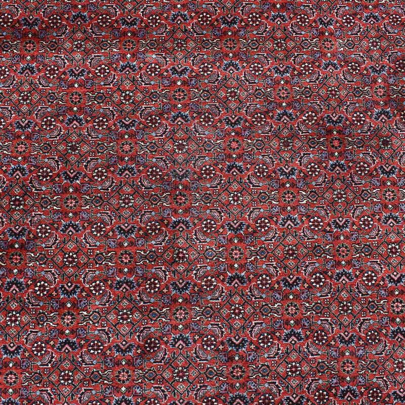 Perserteppich - Bidjar - 490 x 350 cm - bordeauxrot