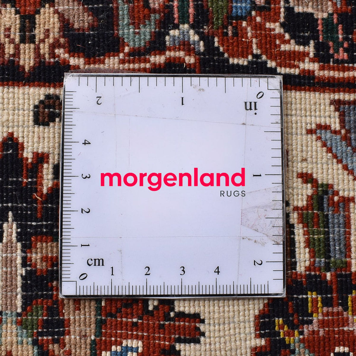 Perserteppich - Bidjar - 295 x 200 cm - rost