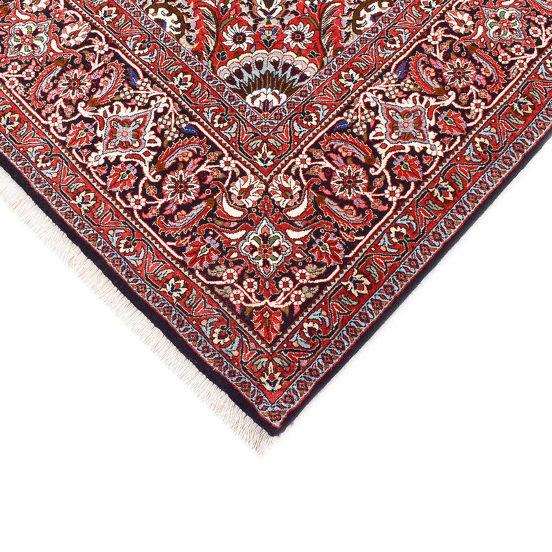 Perserteppich - Bidjar - 348 x 255 cm - rost