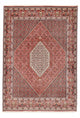 Bidjar Teppich 295x209cm - Perserteppich