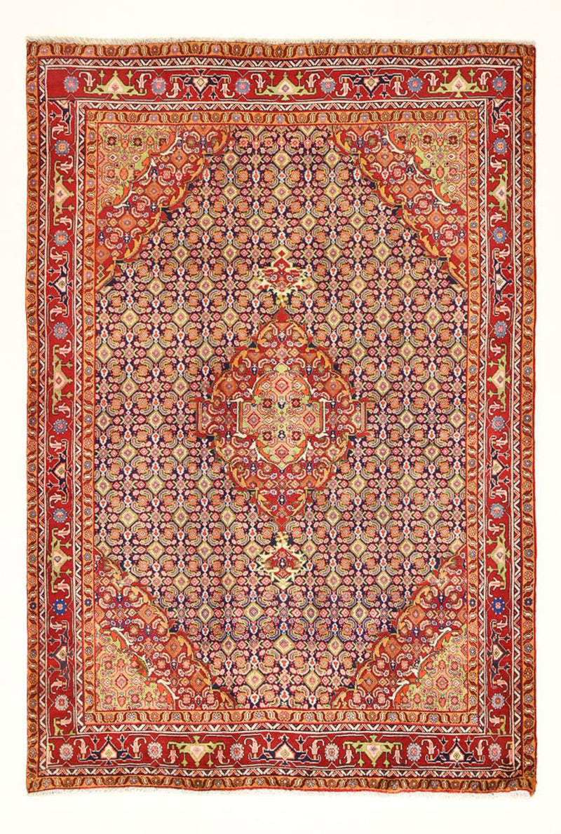 Perserteppich - Nomadic - 290 x 197 cm - terrakotta