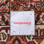 Läufer Perser - Bidjar - 405 x 207 cm - rost