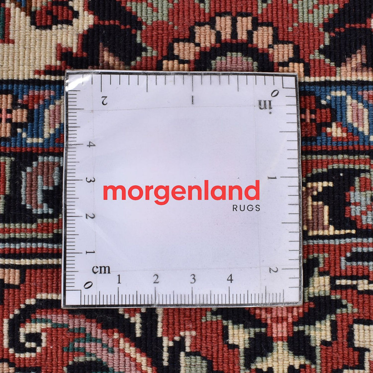 Perserteppich - Bidjar - 249 x 172 cm - rost