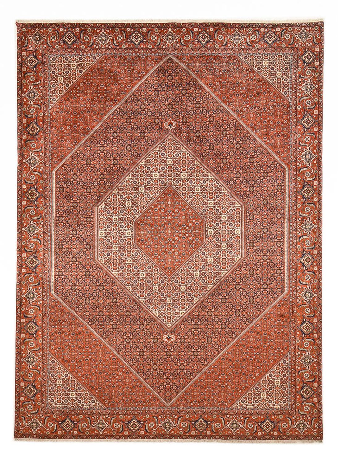 Perserteppich - Bidjar - 328 x 236 cm - rost
