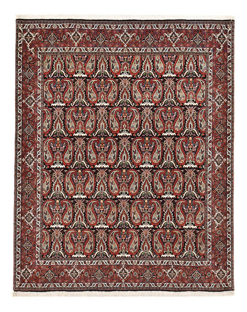 Perserteppich - Bidjar - 248 x 208 cm - rost