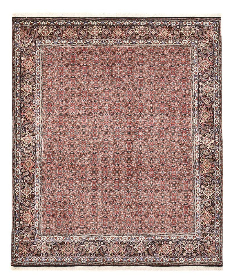 Perserteppich - Bidjar - 244 x 204 cm - rost