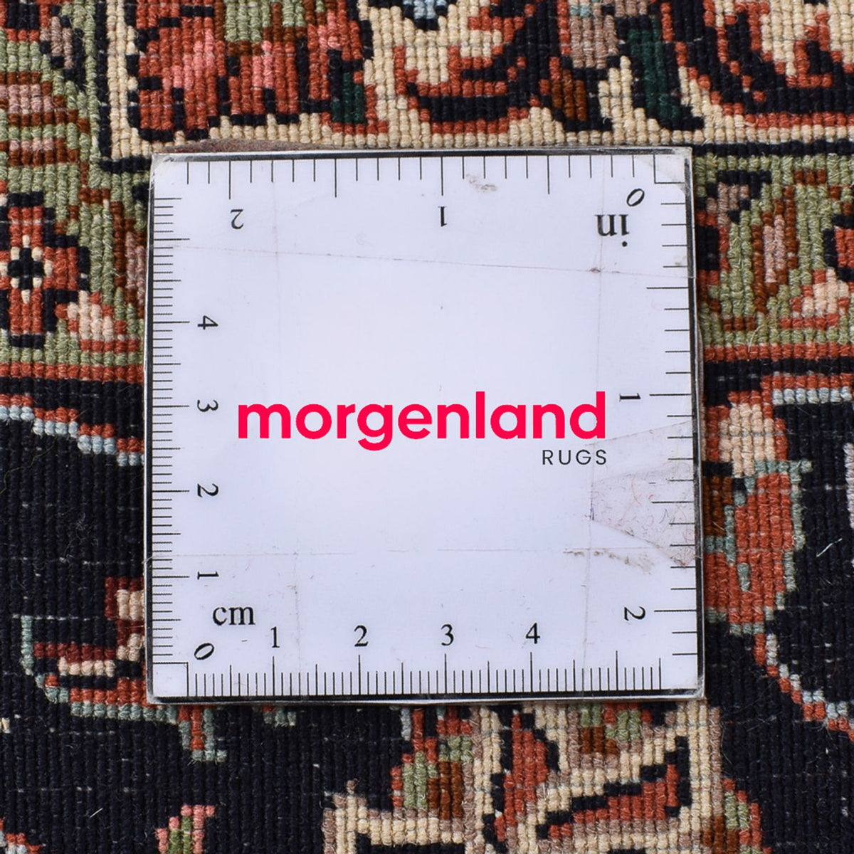 Perserteppich - Bidjar - 310 x 194 cm - rot