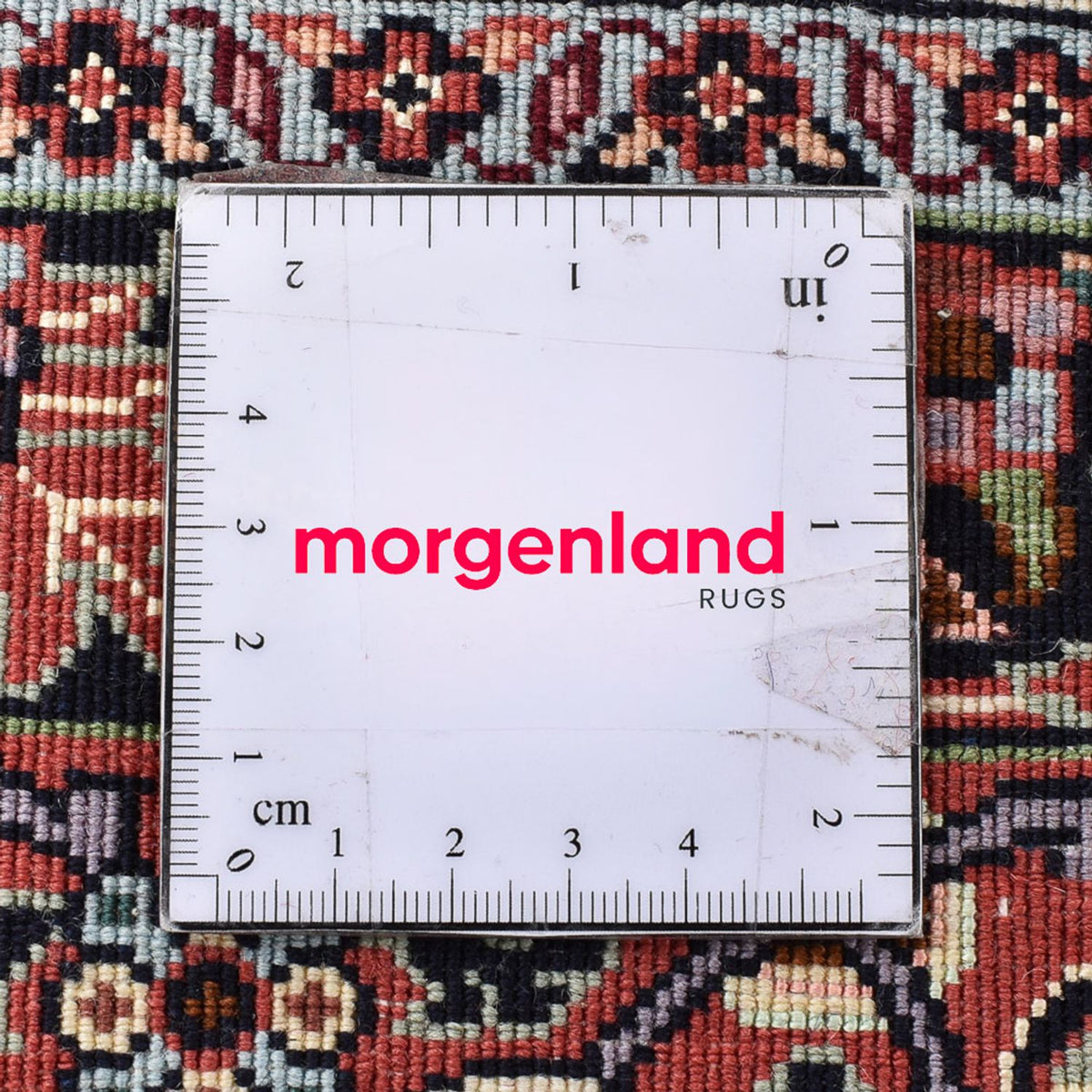 Perserteppich - Bidjar - 303 x 202 cm - creme