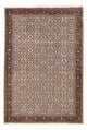Perserteppich - Bidjar - 314 x 208 cm - rost