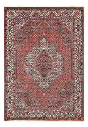 Perserteppich - Bidjar - 292 x 205 cm - rost