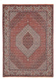 Perserteppich - Bidjar - 292 x 205 cm - rost