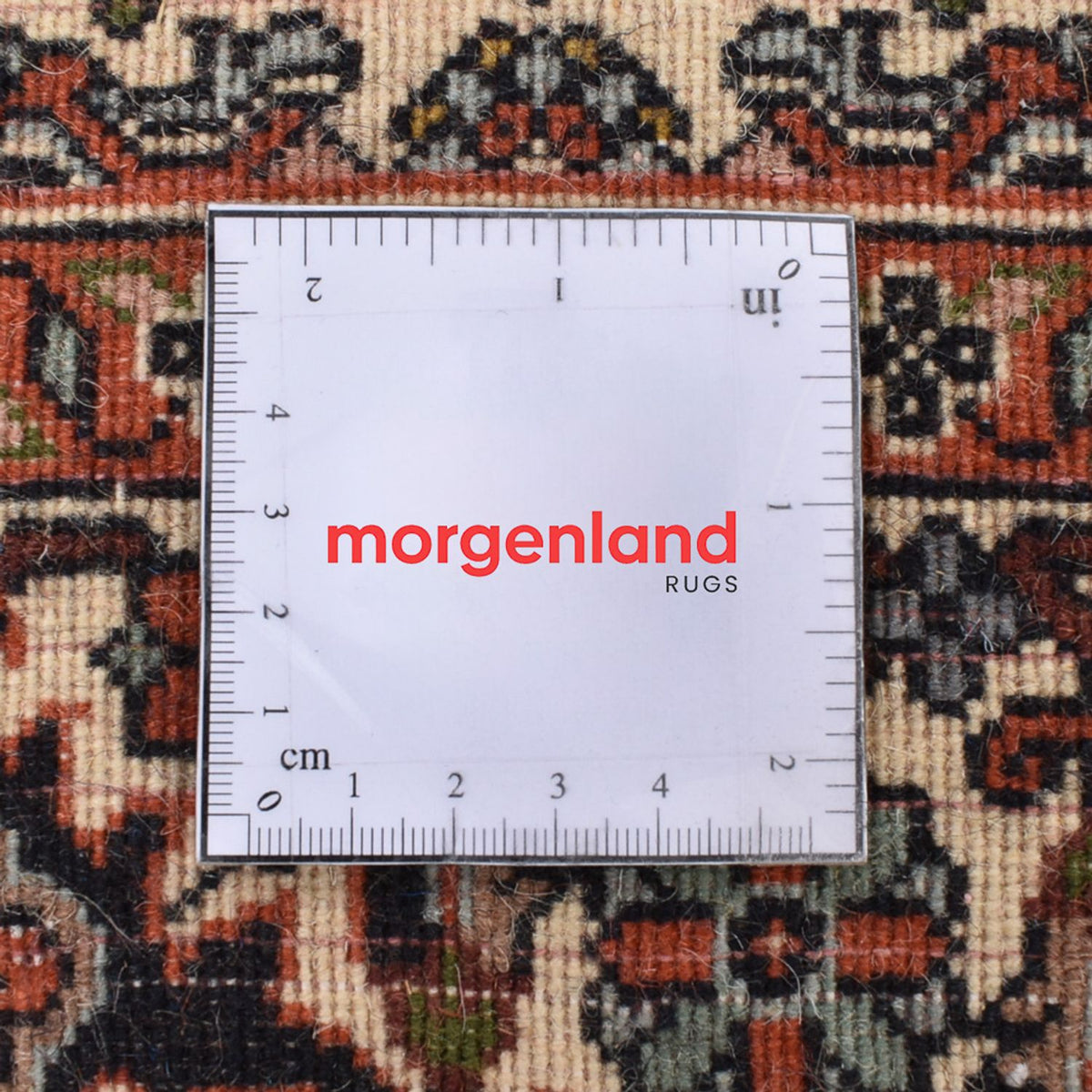 Perserteppich - Bidjar - 175 x 108 cm - rost