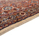 Perserteppich - Classic - 341 x 244 cm - lachs