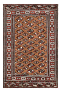 Turkaman Teppich - 303 x 200 cm - mehrfarbig