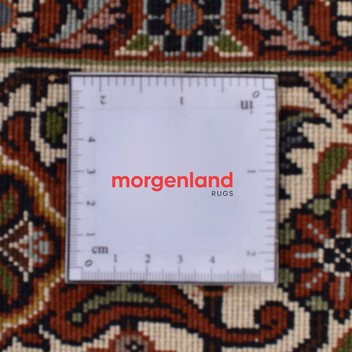 Perserteppich - Bidjar - 300 x 200 cm - dunkelbeige