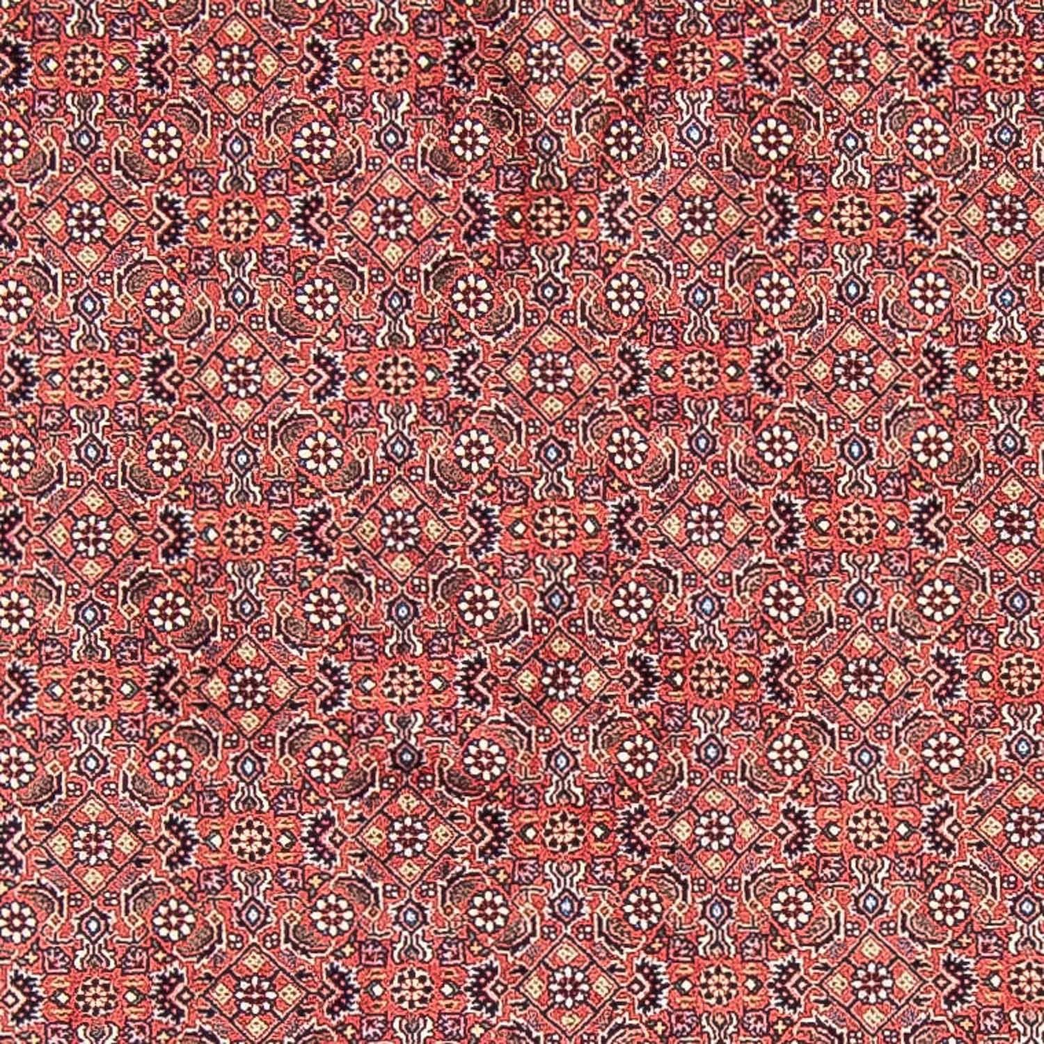 Perserteppich - Bidjar 305 x 305 cm