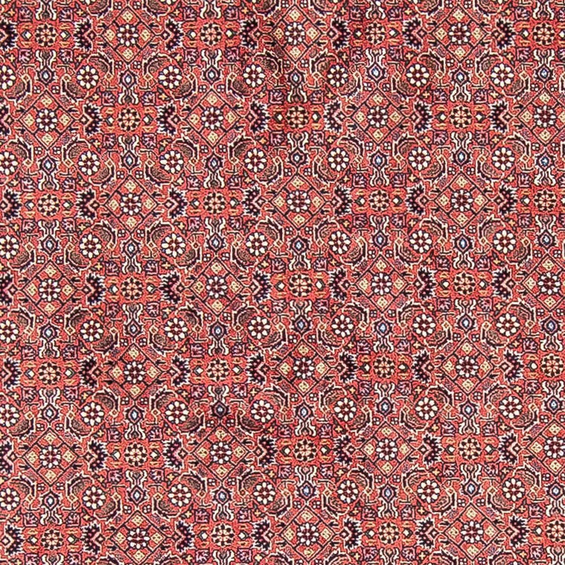 Perserteppich - Bidjar 305 x 305 cm