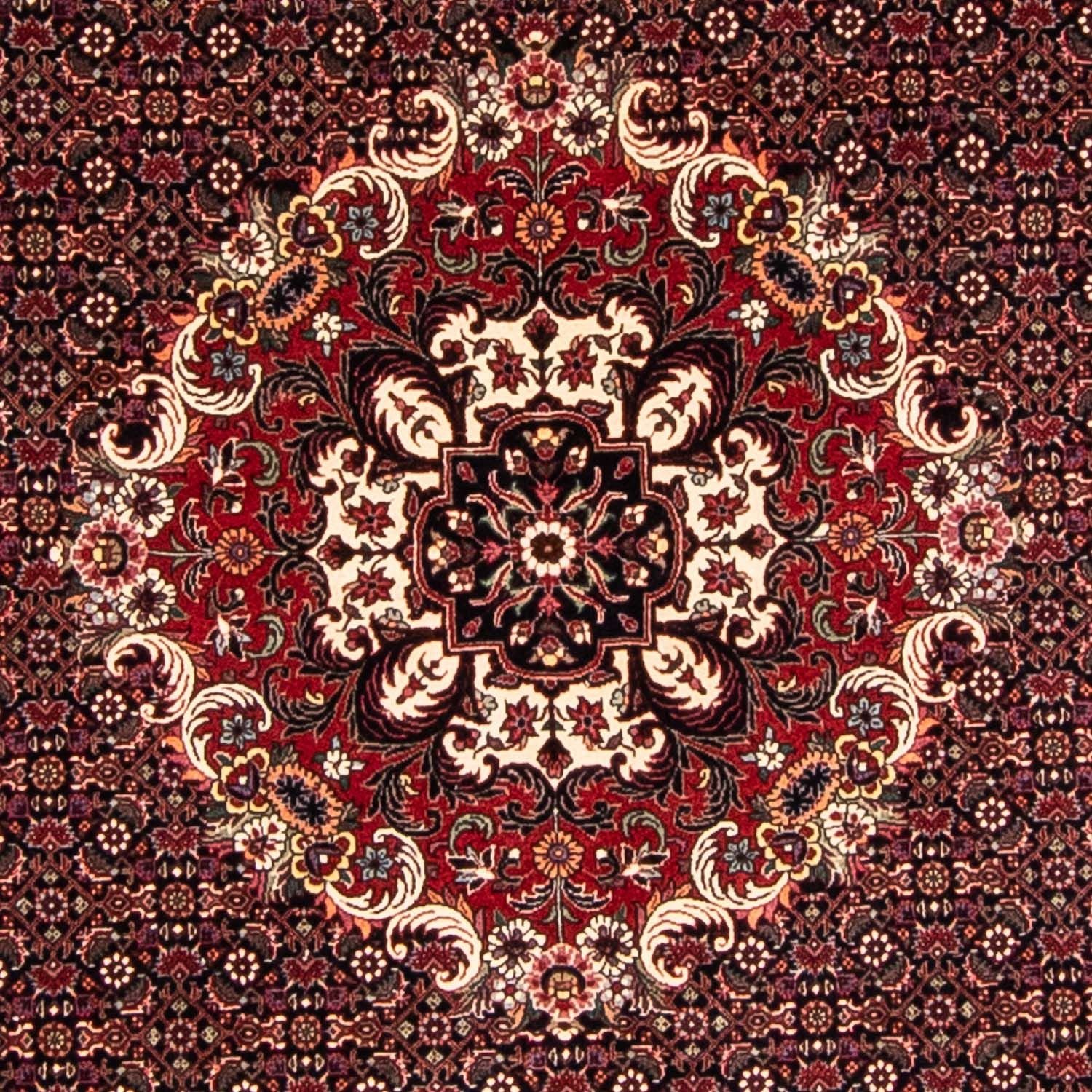 Perserteppich - Bidjar 250 x 250 cm