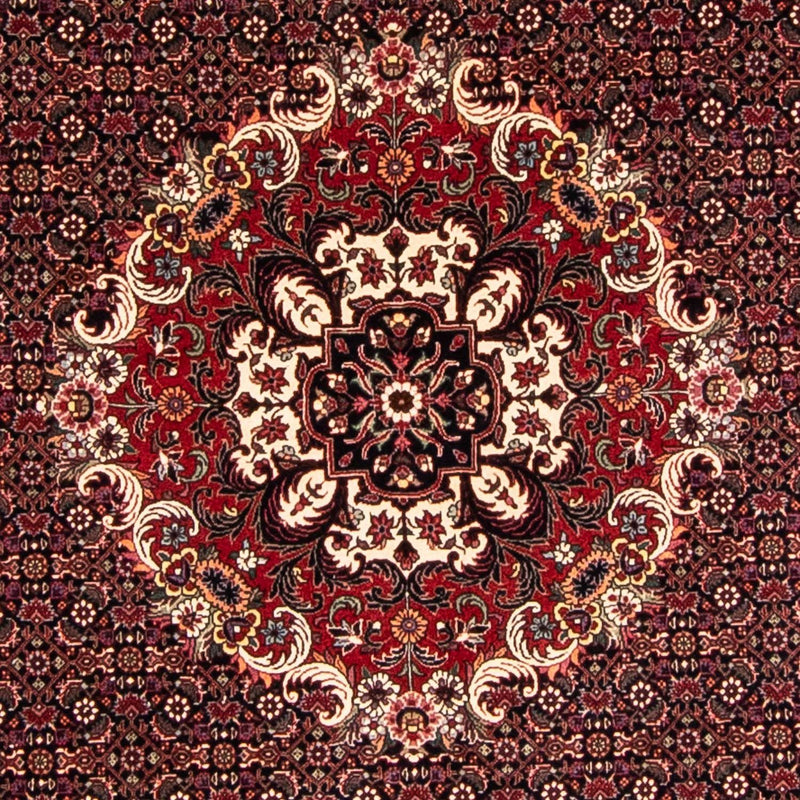 Perserteppich - Bidjar 250 x 250 cm