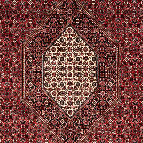 Perserteppich - Bidjar 240 x 166 cm
