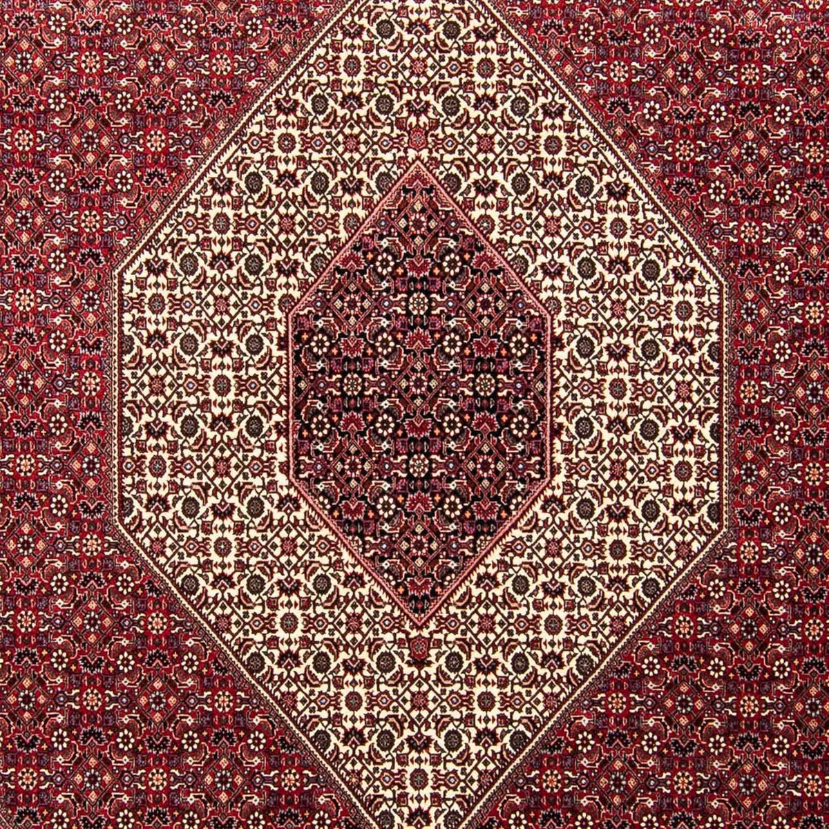 Perserteppich - Bidjar 303 x 250 cm