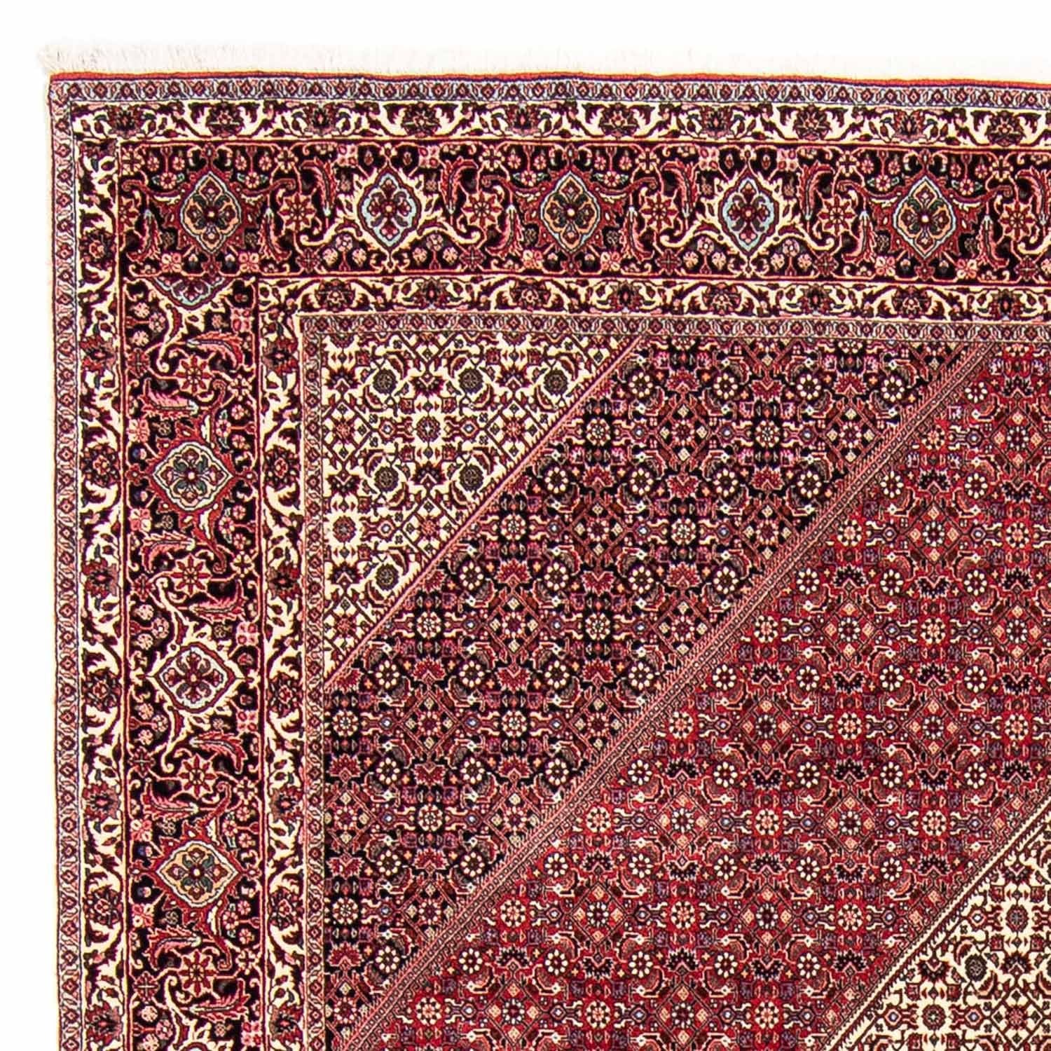 Perserteppich - Bidjar 303 x 250 cm