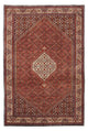 Perserteppich - Bidjar 245 x 167 cm