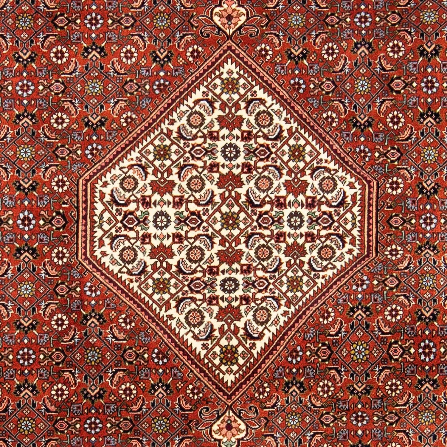 Perserteppich - Bidjar 245 x 167 cm