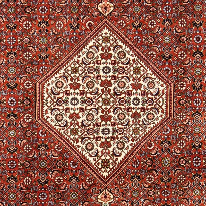Perserteppich - Bidjar 245 x 167 cm