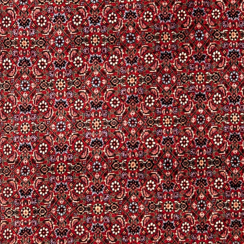 Perserteppich - Bidjar - Royal 331 x 254 cm - rot
