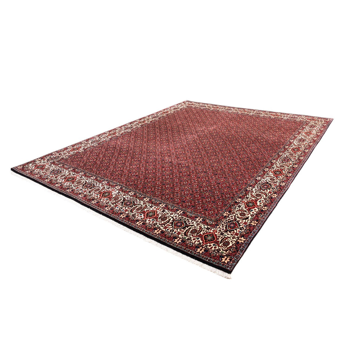 Perserteppich - Bidjar - Royal 331 x 254 cm - rot