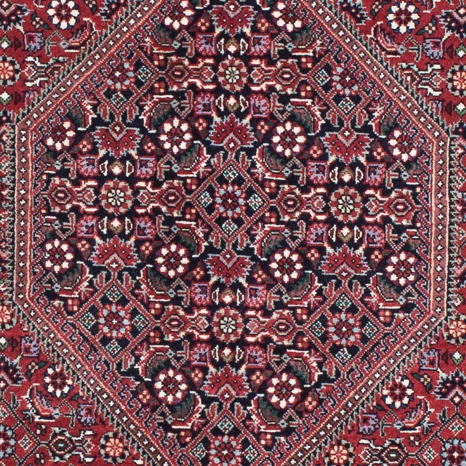 Perserteppich - Bidjar - Royal 205 x 72 cm