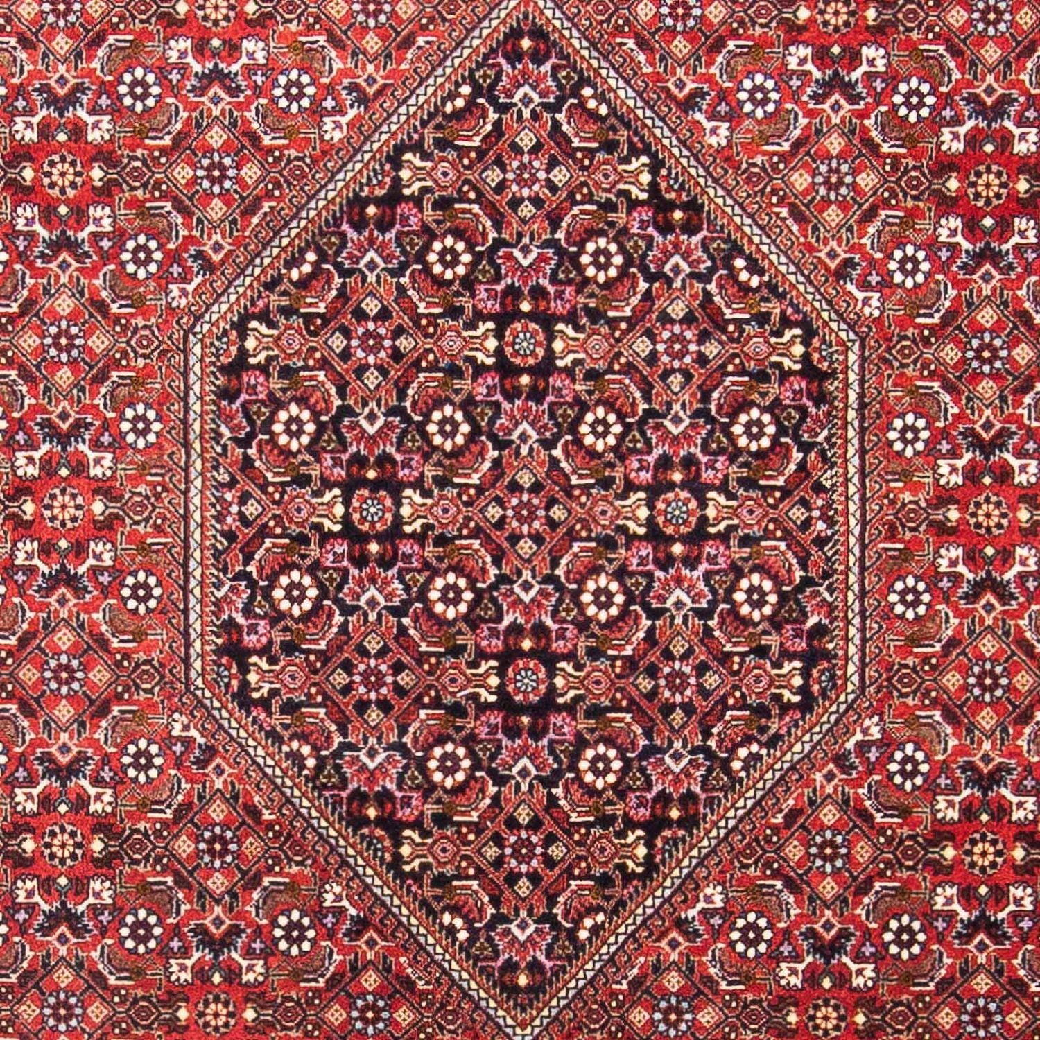 Perserteppich - Bidjar - Royal 180 x 110 cm - rot
