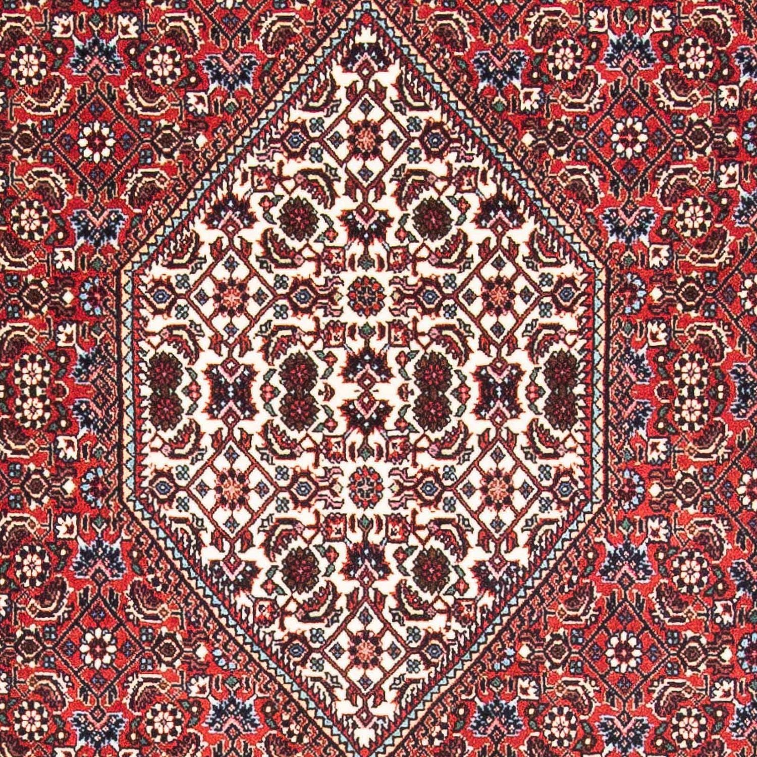 Perserteppich - Bidjar - Royal 176 x 109 cm
