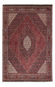 Bidjar Teppich 246x167cm - Perserteppich