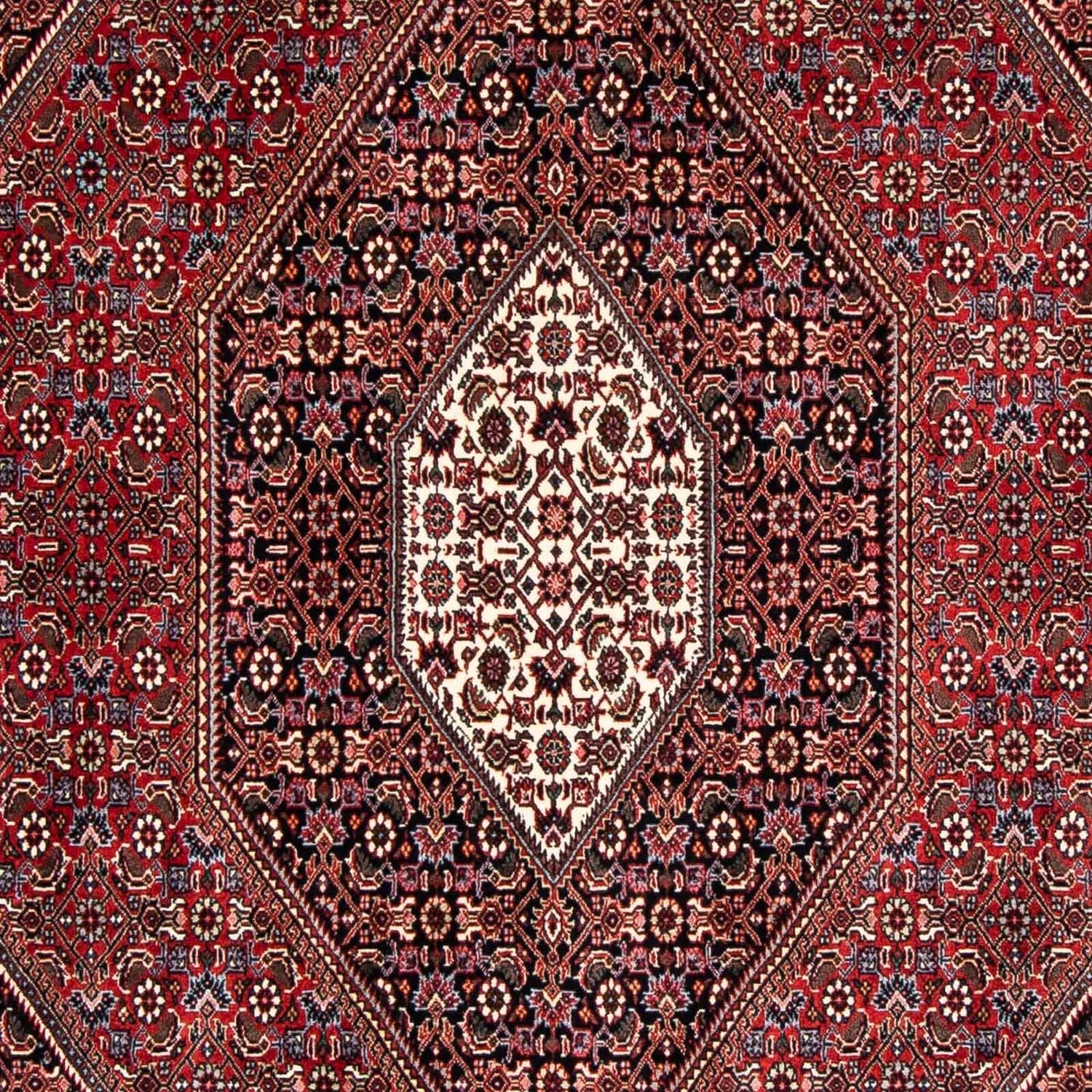 Perserteppich - Bidjar 246 x 167 cm