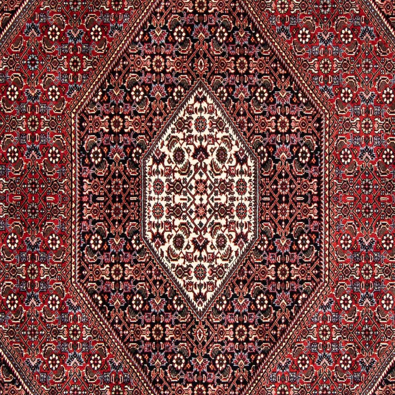 Perserteppich - Bidjar 246 x 167 cm