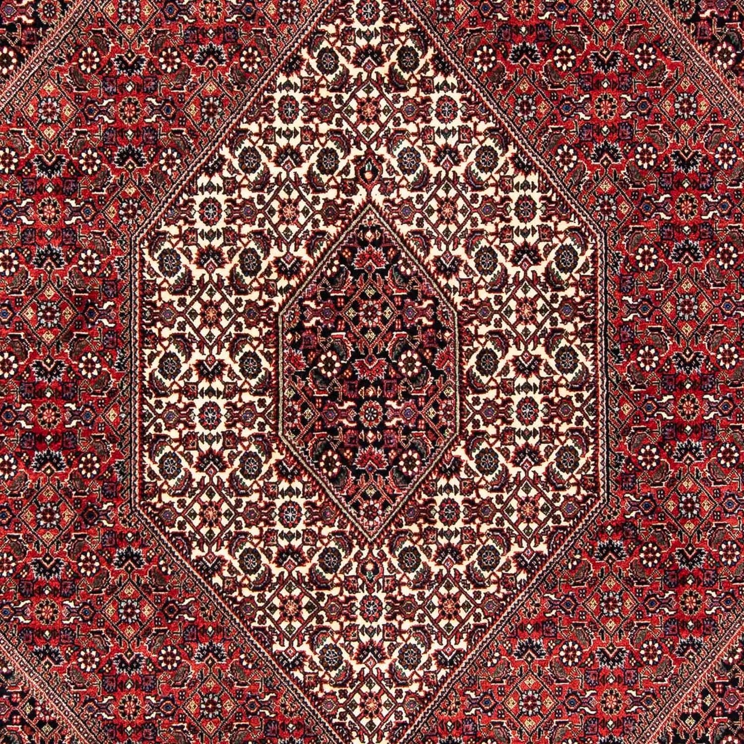 Perserteppich - Bidjar 245 x 167 cm - dunkelrot