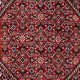 Perserteppich - Bidjar - Royal 318 x 200 cm