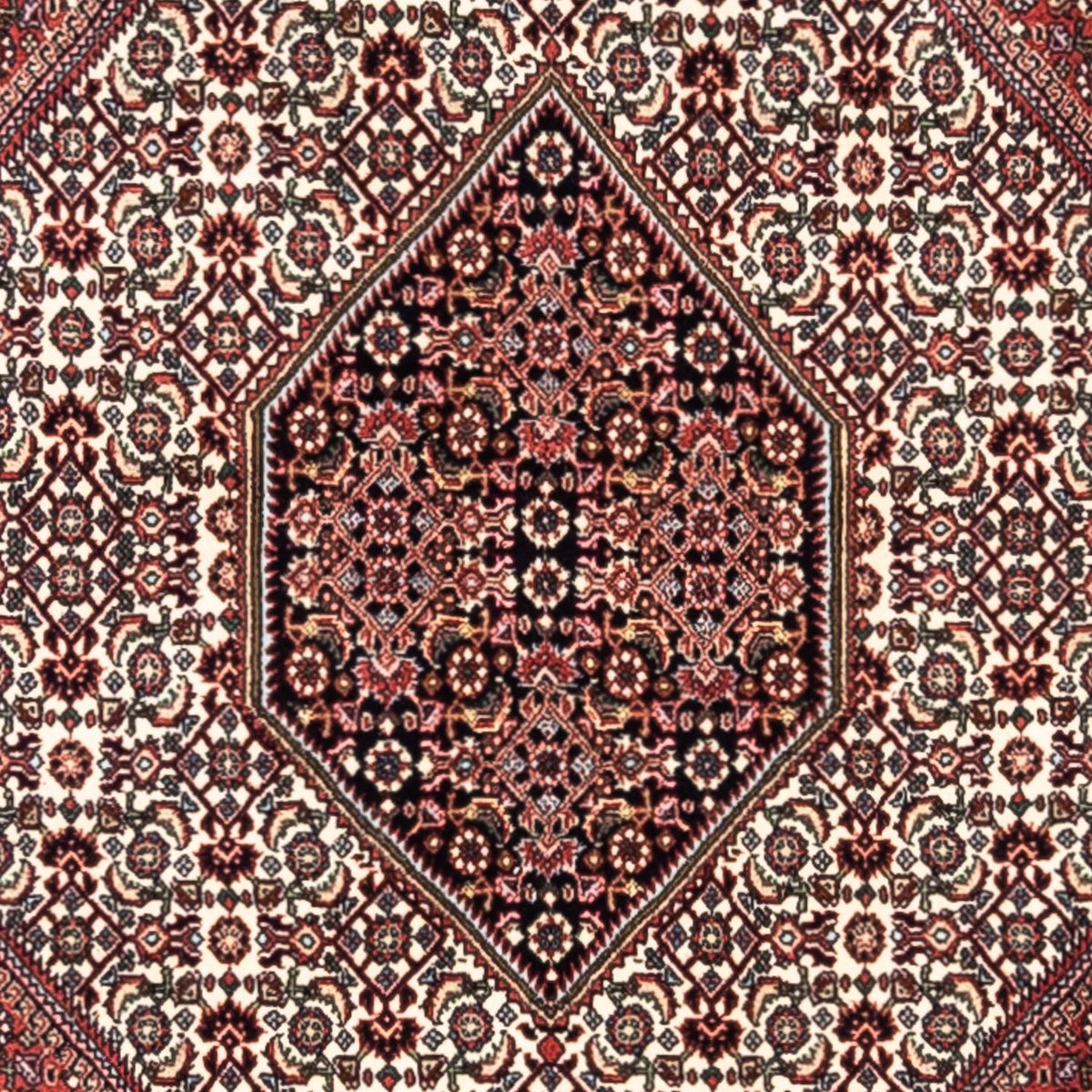 Perserteppich - Bidjar - Royal 295 x 200 cm