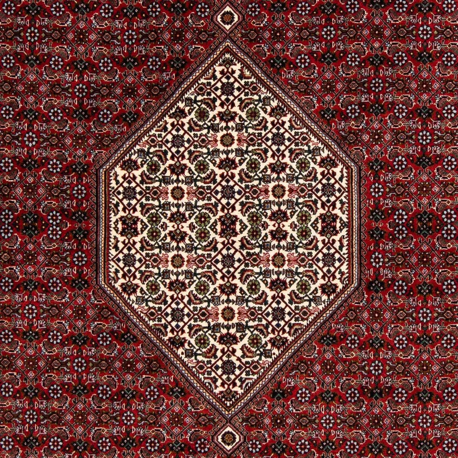 Perserteppich - Bidjar 203 x 196 cm