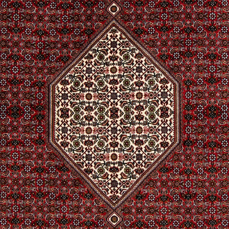 Perserteppich - Bidjar 203 x 196 cm