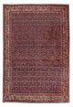 Bidjar Teppich 237x168cm - Perserteppich