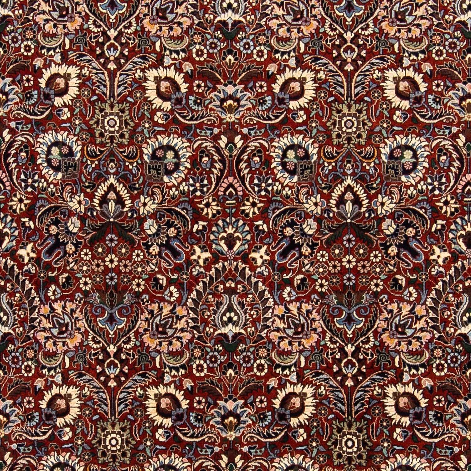 Perserteppich - Bidjar 248 x 170 cm