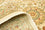 Ziegler Teppich 183 x 123 cm - beige
