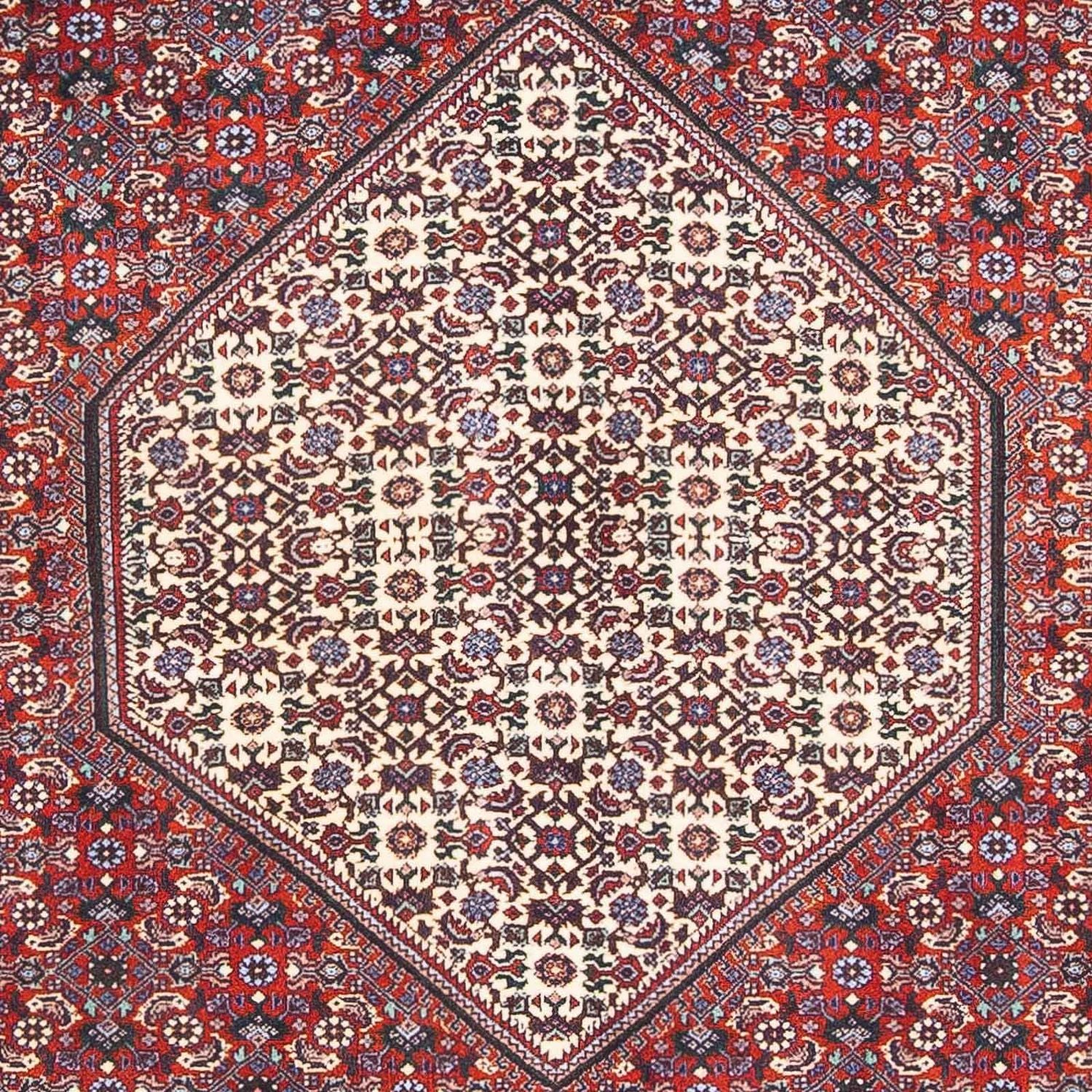 Perserteppich - Bidjar - Royal 170 x 110 cm - beige