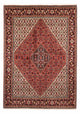 Perserteppich - Bidjar 247 x 169 cm