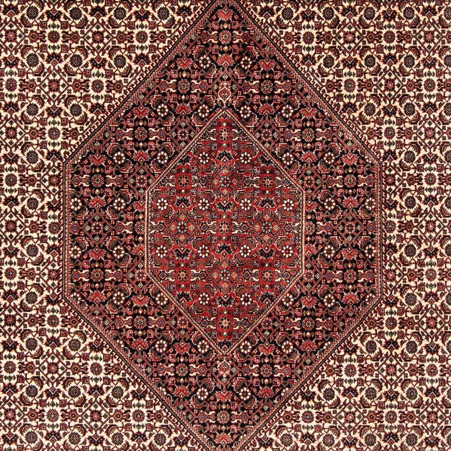 Perserteppich - Bidjar 254 x 203 cm