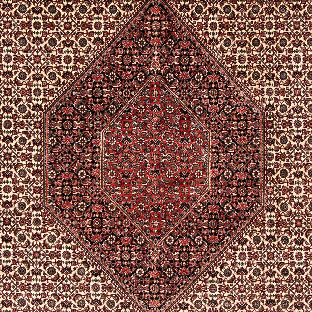 Perserteppich - Bidjar 254 x 203 cm