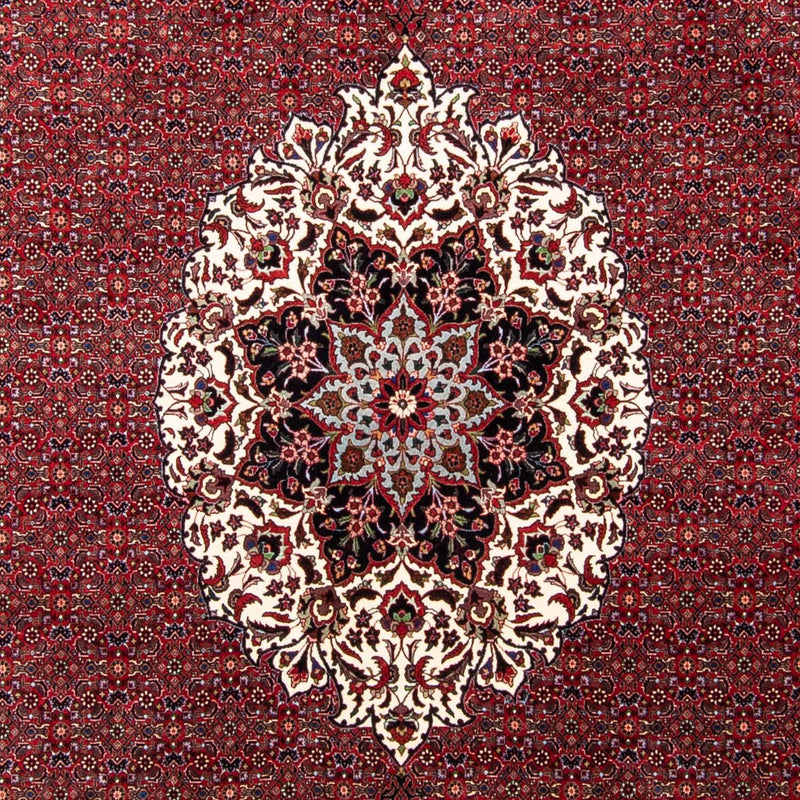 Perserteppich - Bidjar 343 x 260 cm Teppich Wohnzimmer